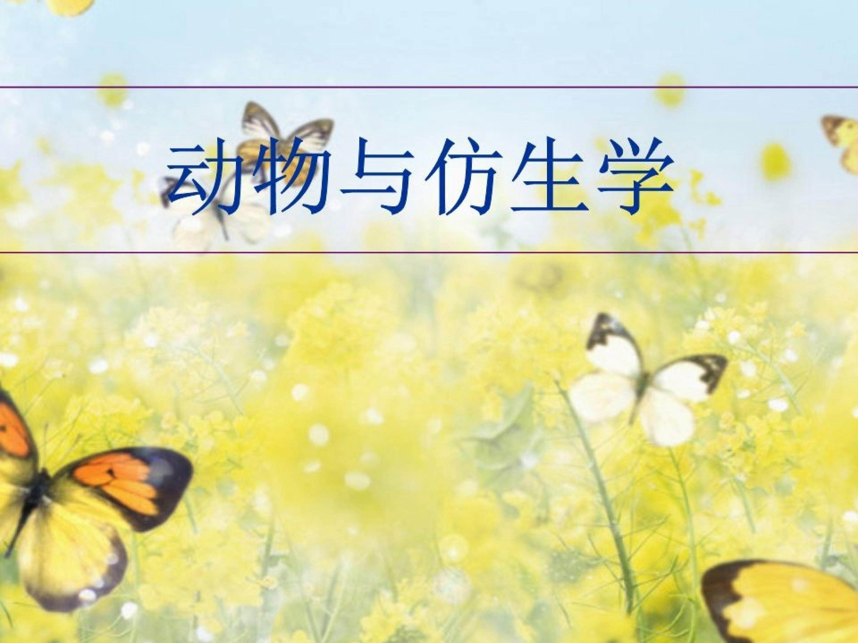 奇妙的动物仿生