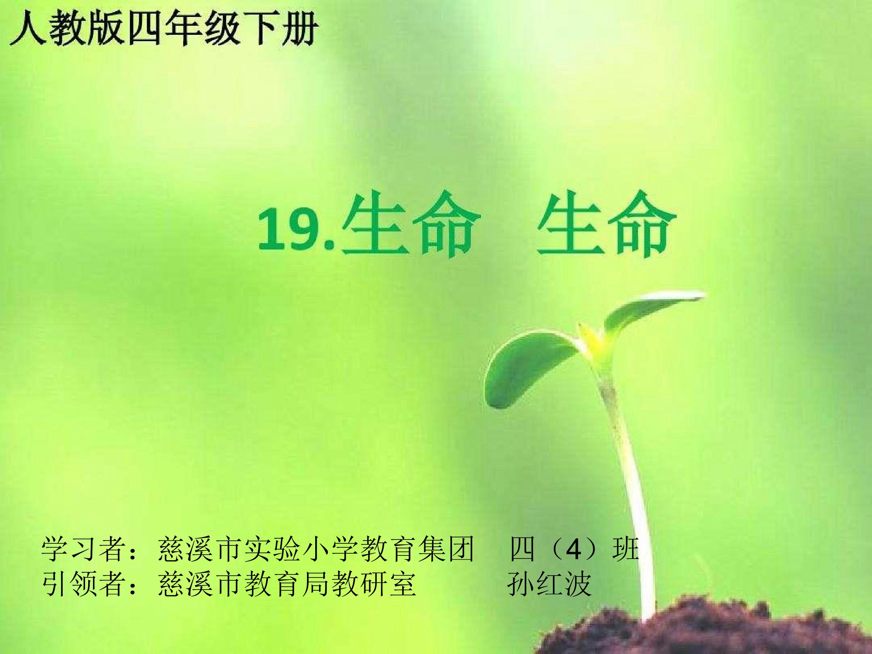 19　生命　生命