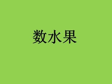 数水果_课件1
