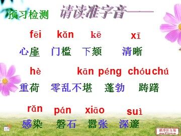 13 * 音乐巨人贝多芬