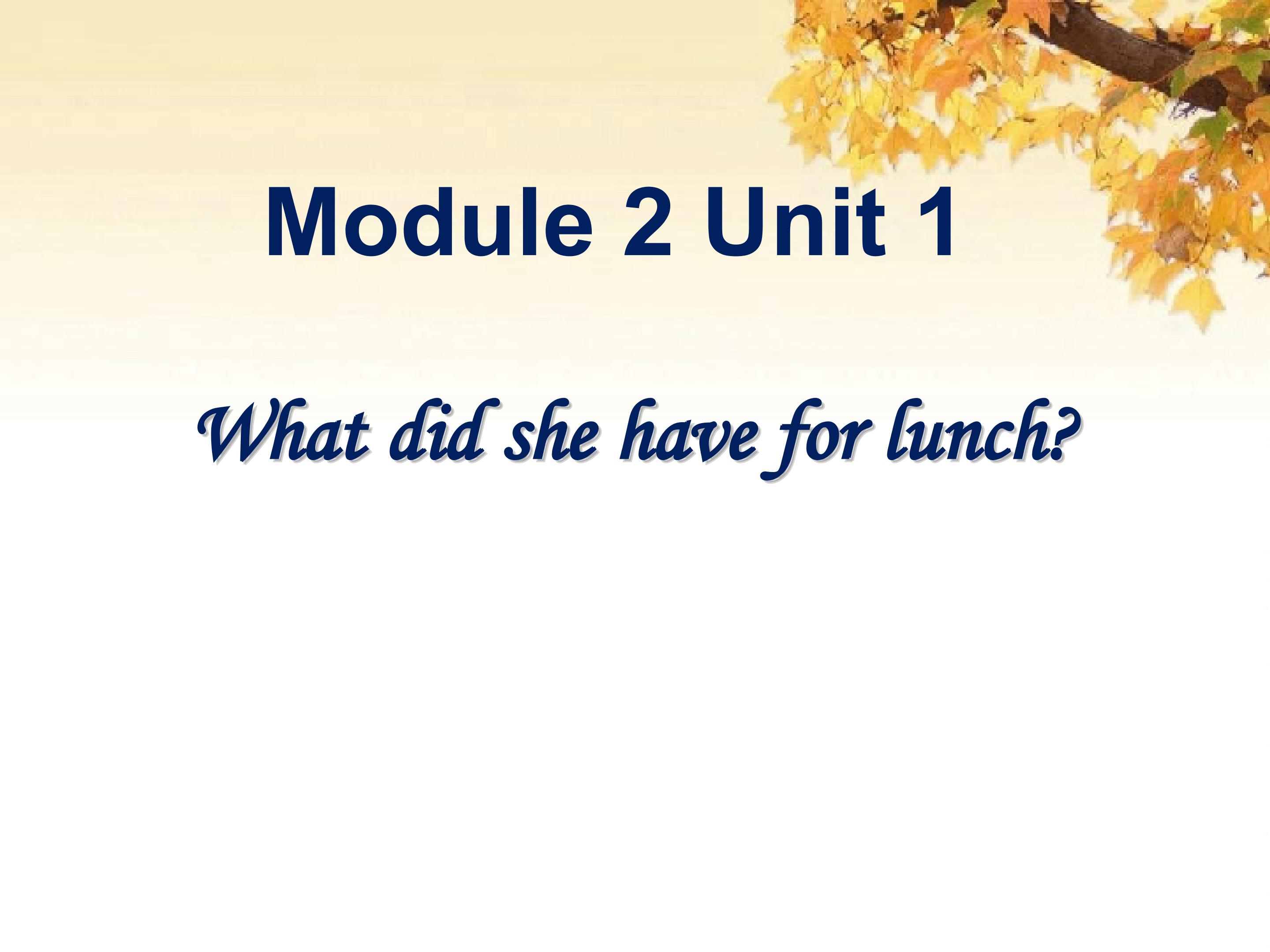 Module2Unit1What did she have for lunch?