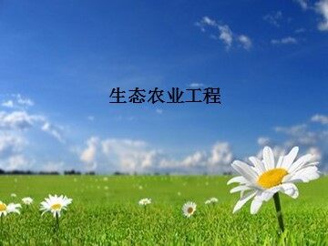 生态农业工程_课件1