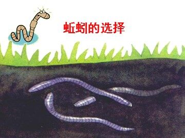 《蚯蚓的选择》课件2