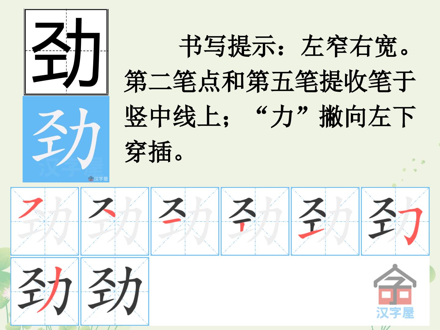 26.jpg