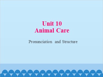 Unit 10 Animal Care Pronunciation and Structure_课件1