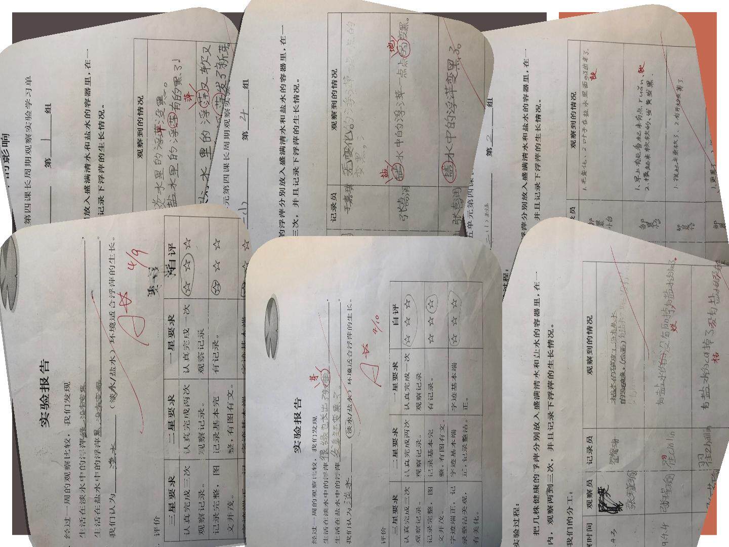 环境变化对生物的影响