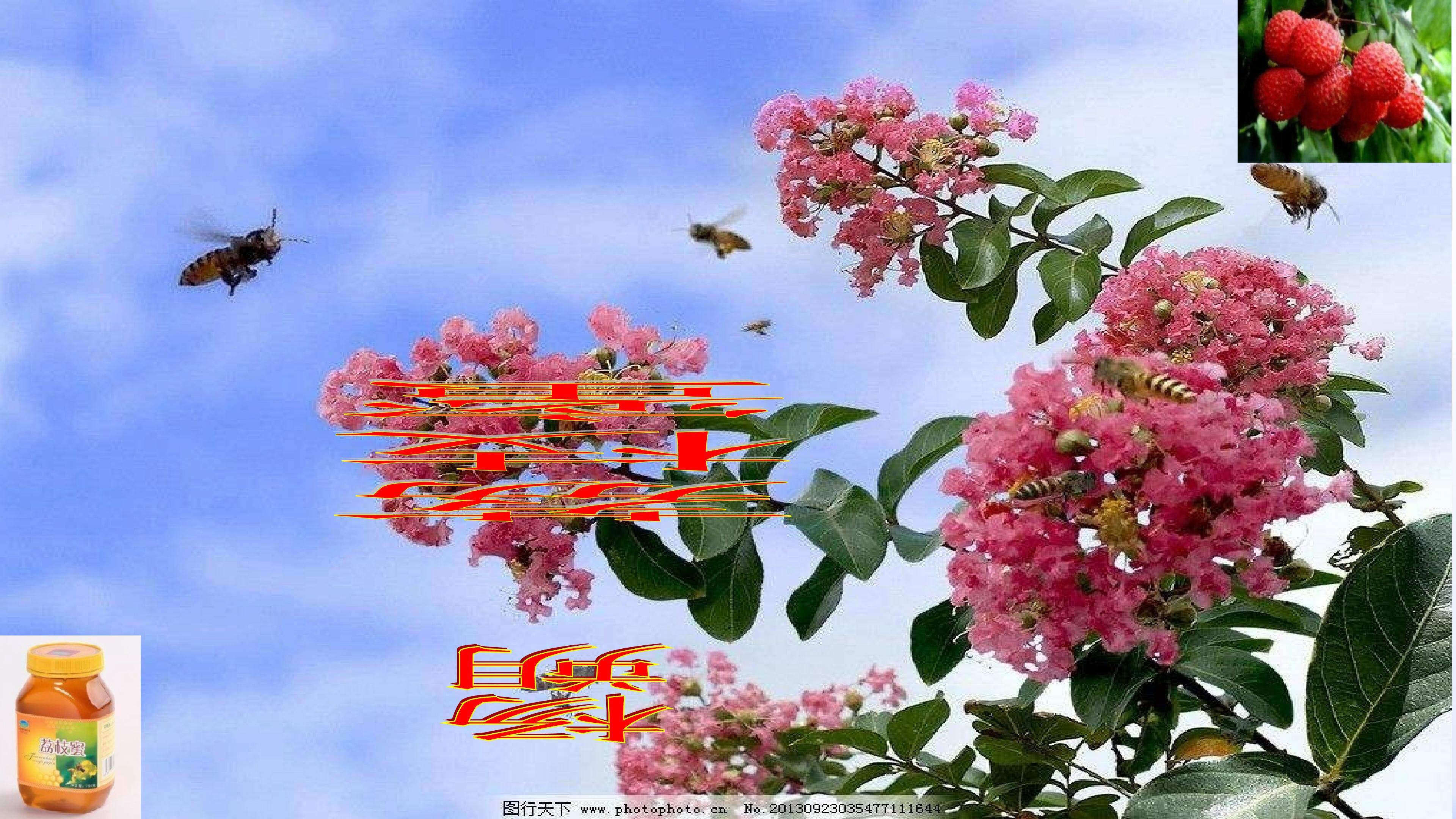 荔枝蜜
