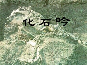 化石吟_课件2