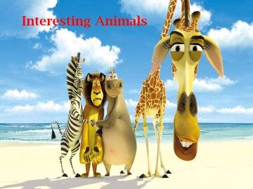 Interesting Anima_课件1