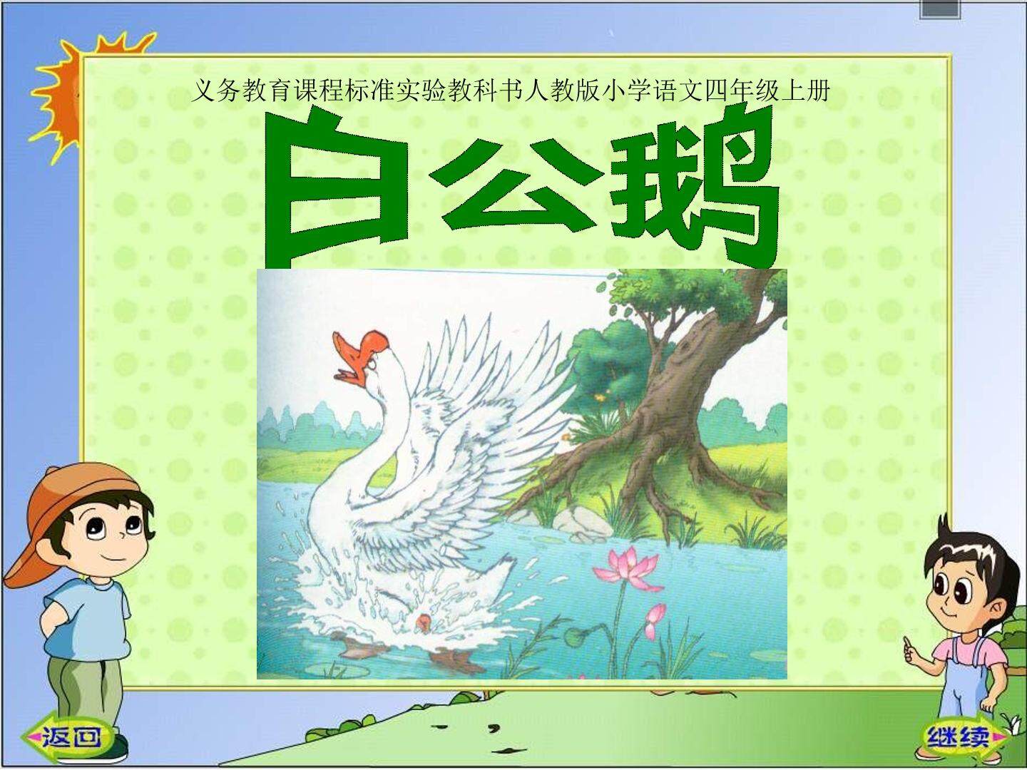 14* 白公鹅