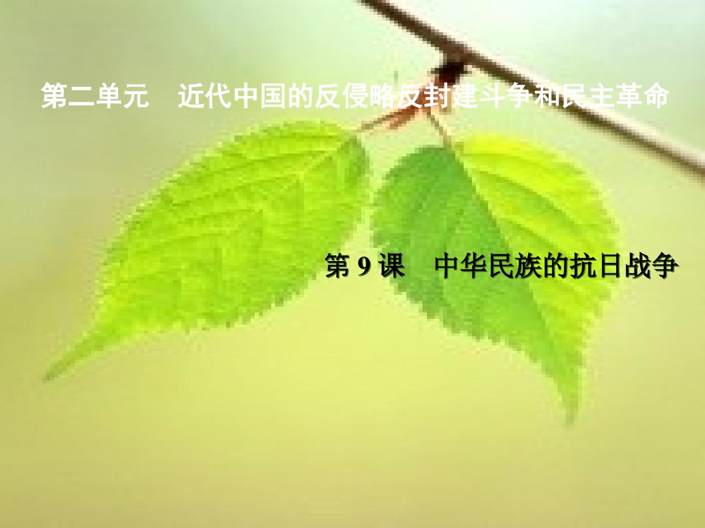 中华民族的抗日战争