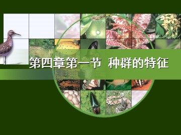 科学家的故事 从治蝗专家到生态学巨匠