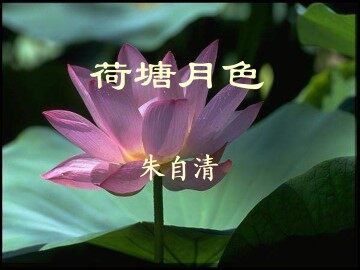荷塘月色_课件3