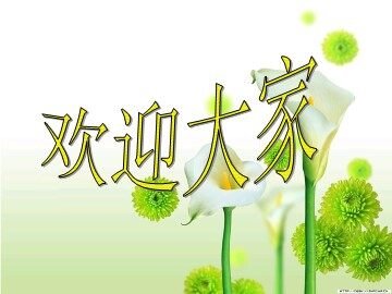17 触摸春天