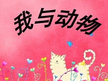 26 猫 
