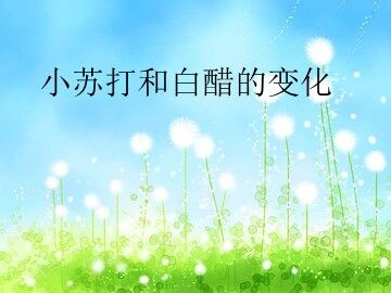 4.小苏打和白醋的变化