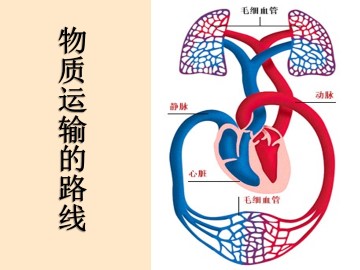 物质运输的路线_课件1