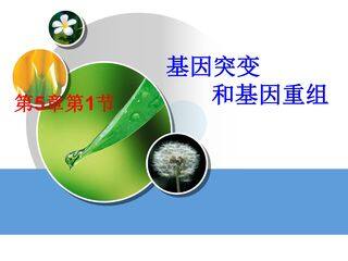 基因突变和基因重组