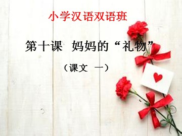 第十课  妈妈的“礼物”