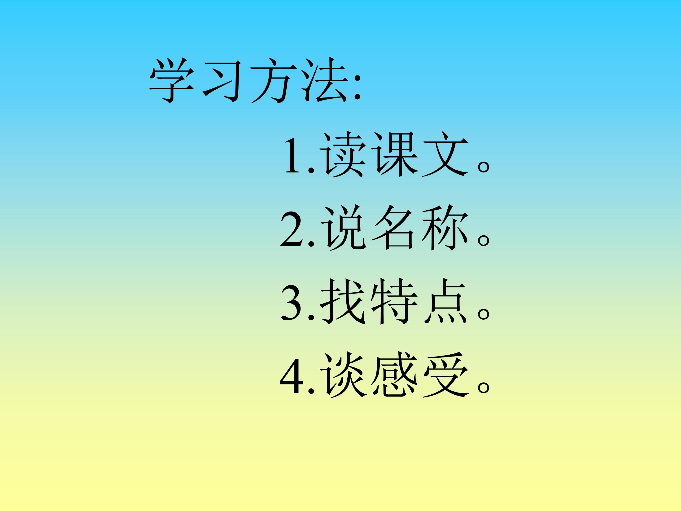 52.jpg