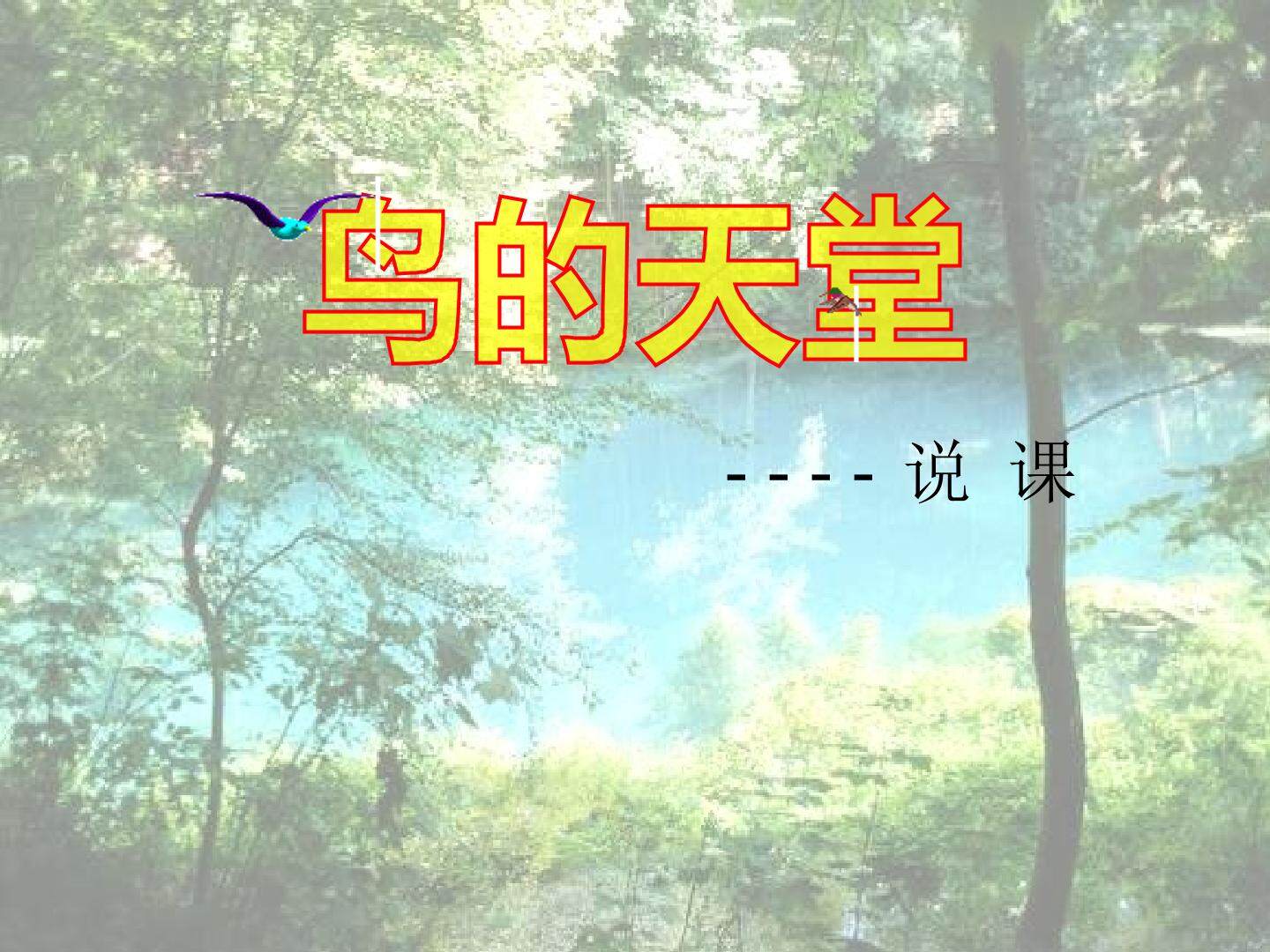 鸟的天堂_课件6