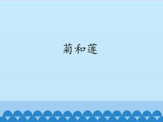 菊和莲_课件1