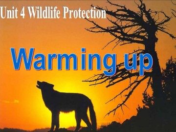 Unit 4 Wildlife protection