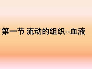 流动的组织-血液