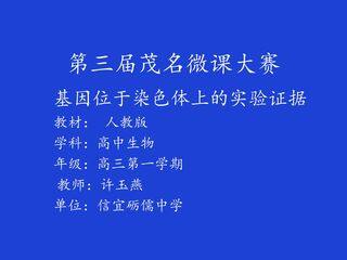 基因位于染色体上的实验证据