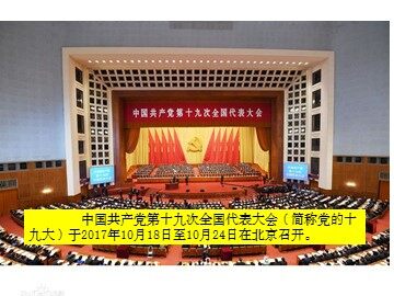 信息技术应用 电子表格与数据计算