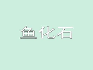 鱼化石_课件1