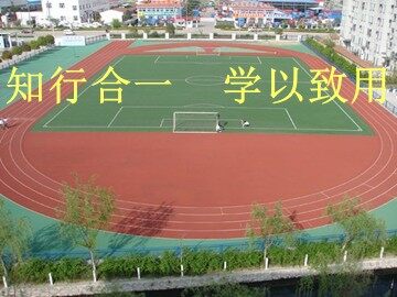 实验与探究 设计跑道