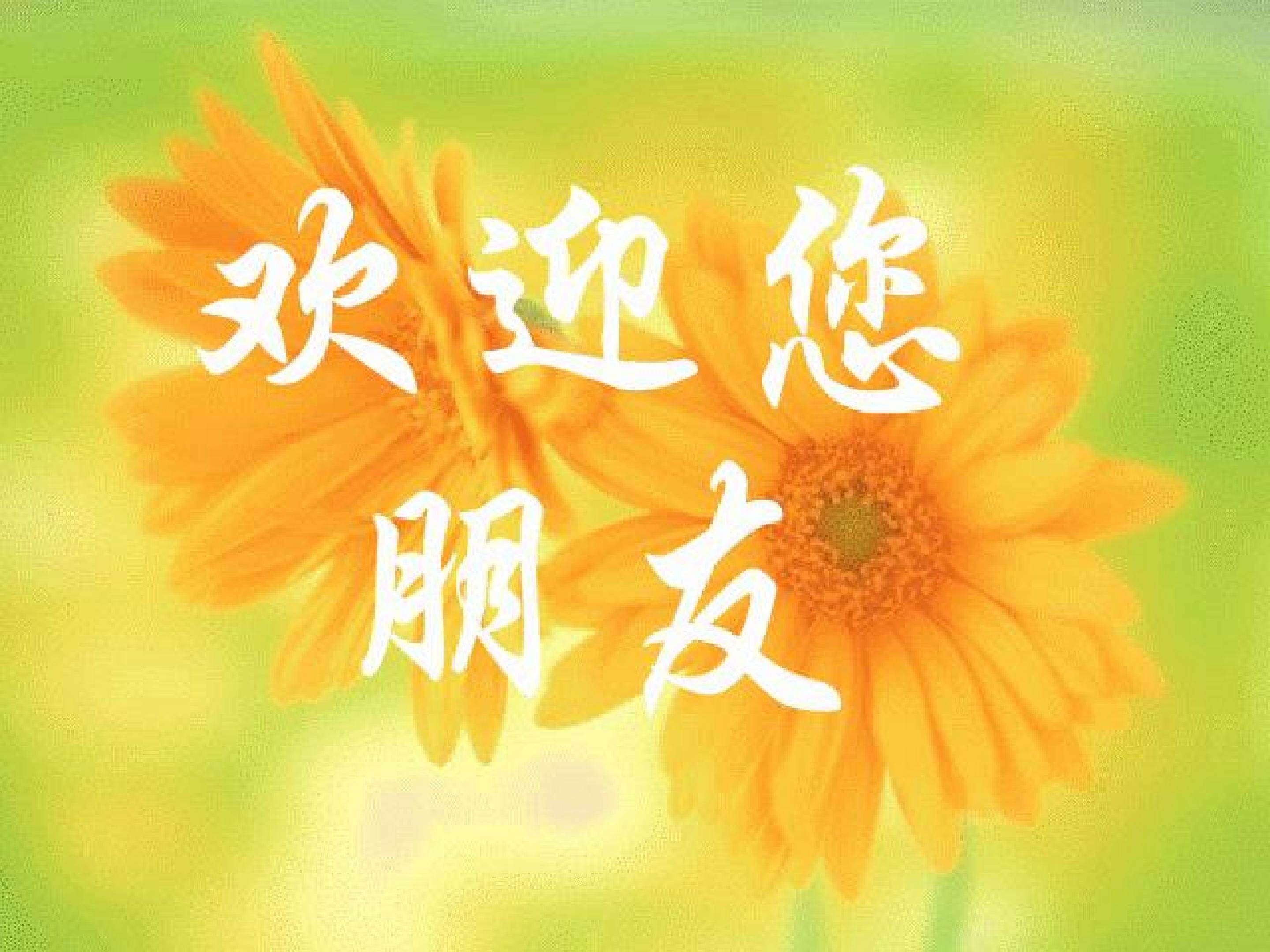 康定情歌