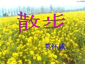 1 散步