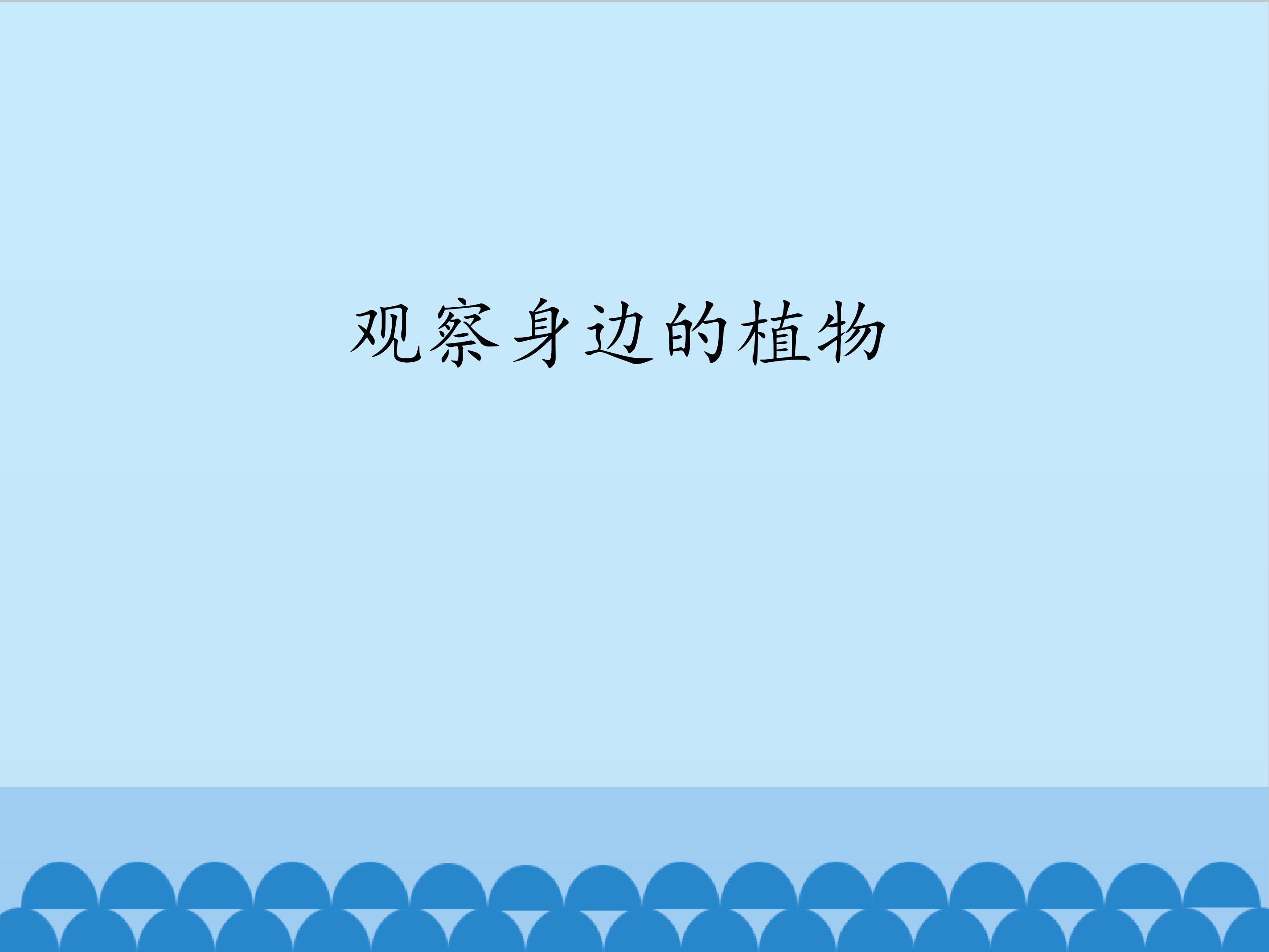 观察身边的植物_课件1