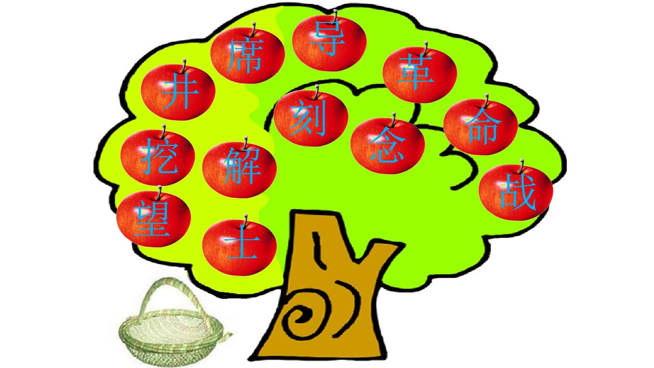 24.jpg