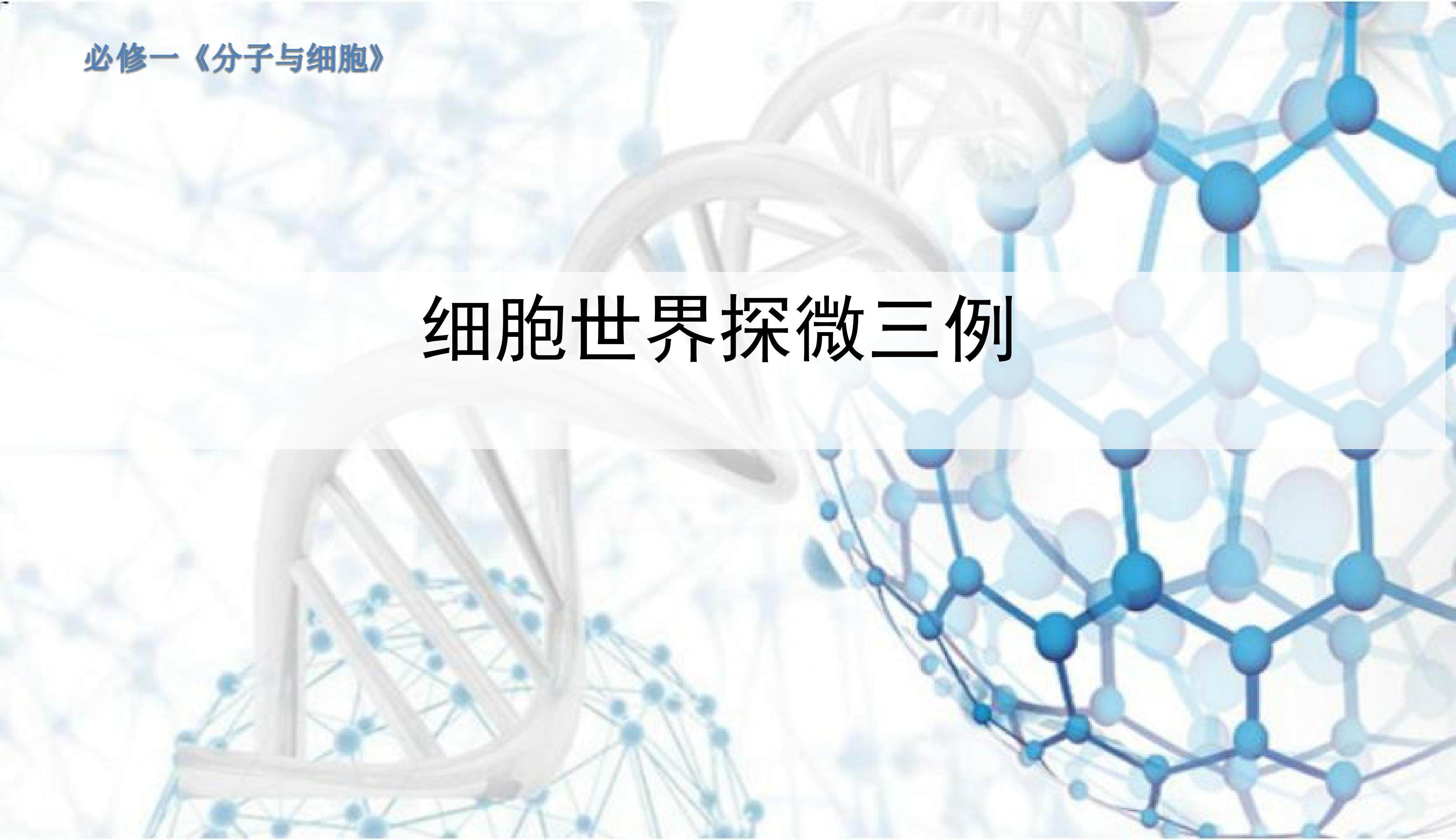 细胞世界探微三例