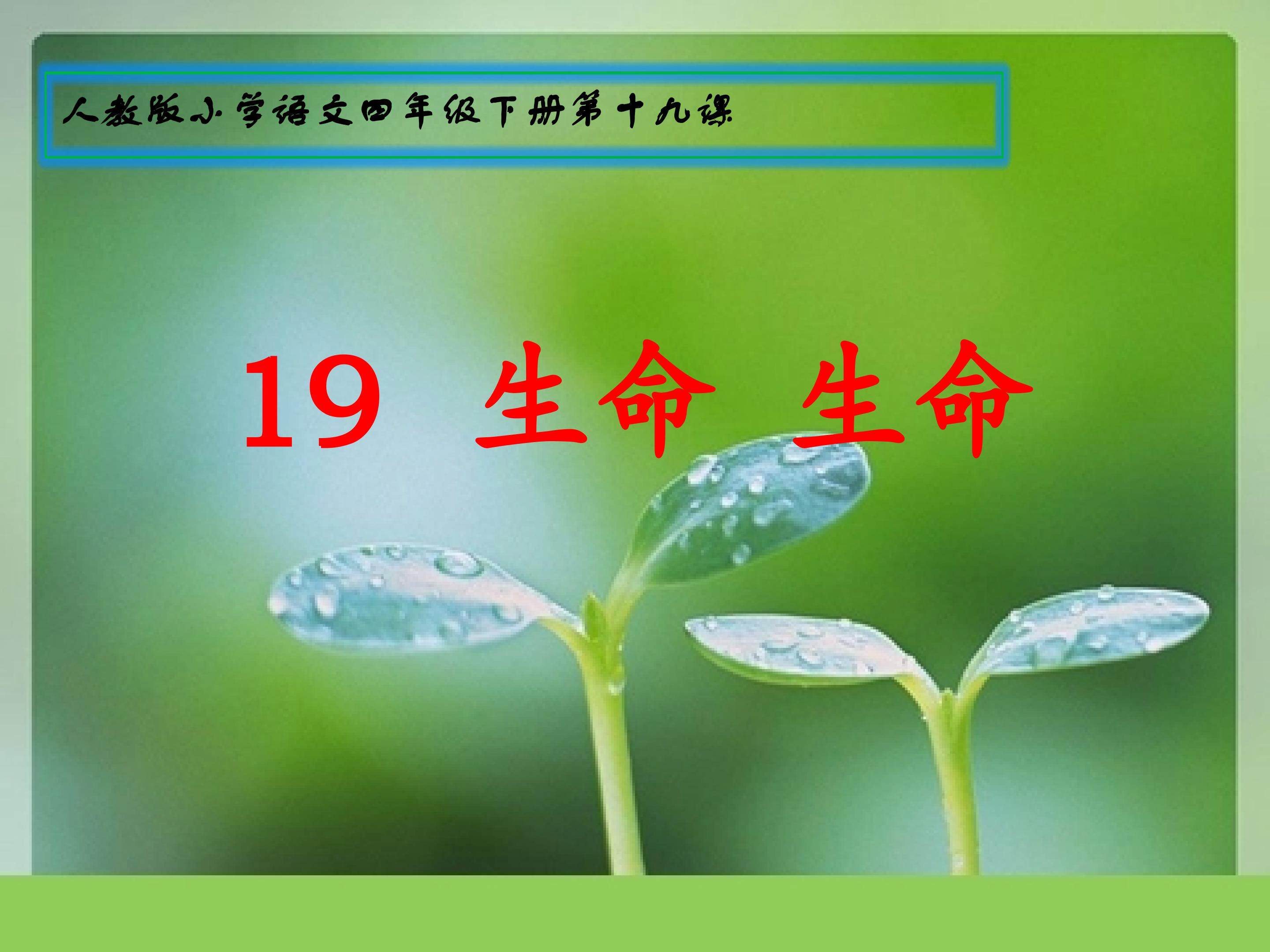 《生命 生命》