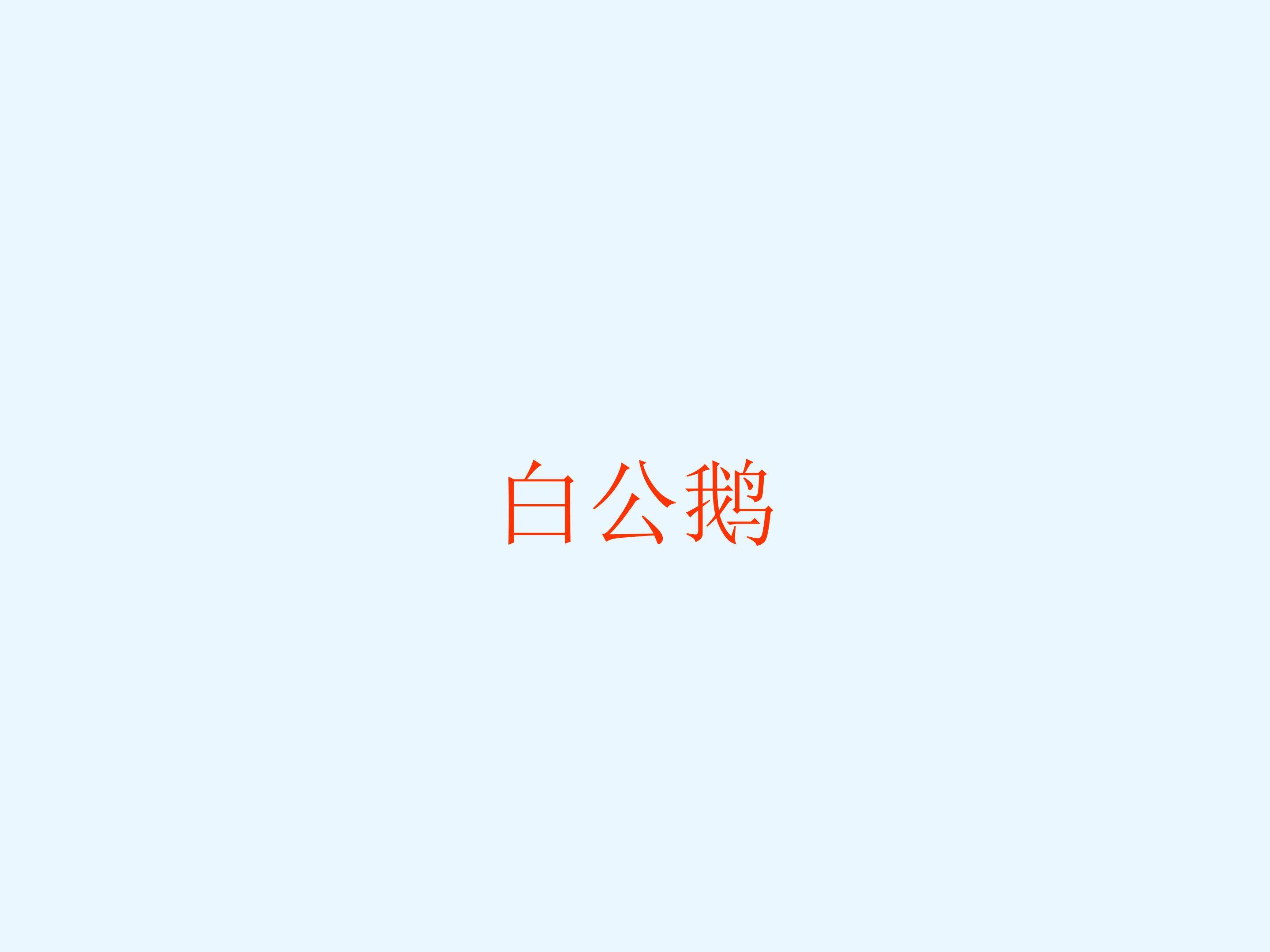 白公鹅_课件1