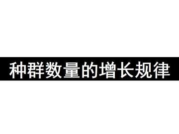 种群数量的增长规律_课件1