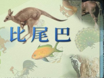 比尾巴_课件1