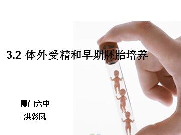 洪彩凤3.2.2体外受精和早期胚胎培养