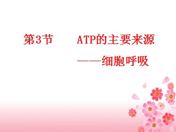 第3节  ATP的主要来源——细胞呼吸