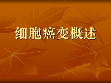 生物高中必修1第六章第四节课件3