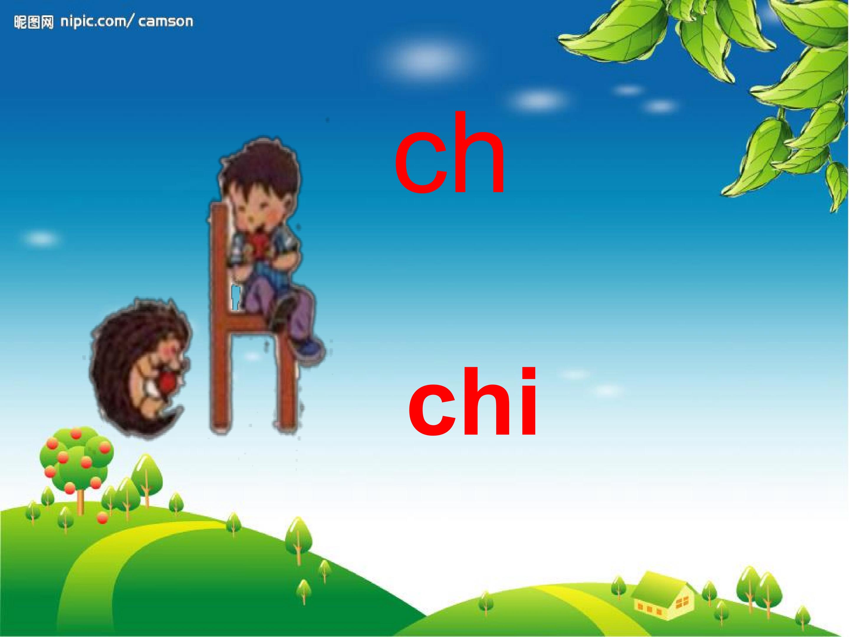5.jpg