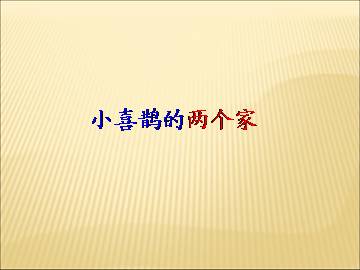 小喜鹊的两个家_课件1