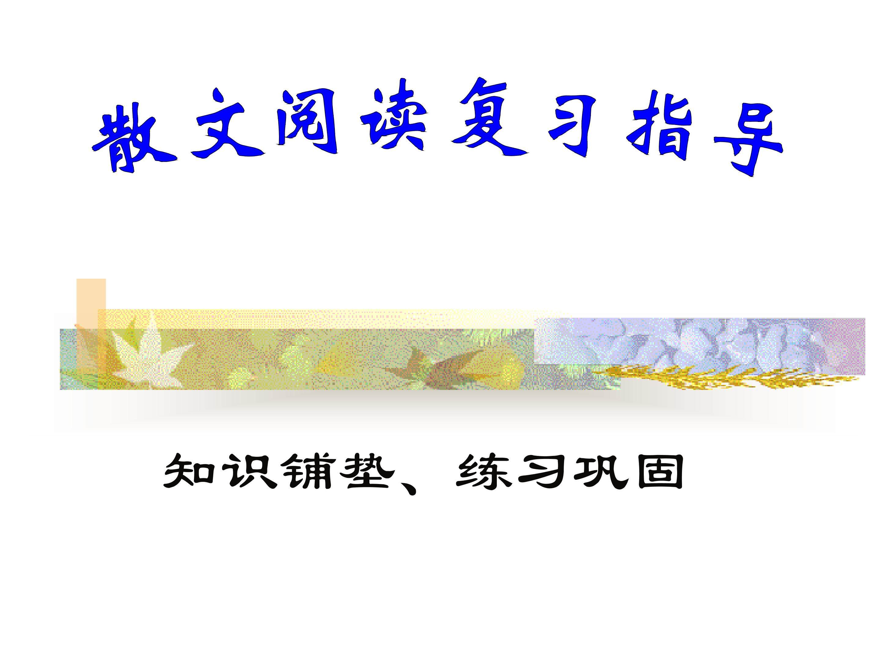 散文阅读训练