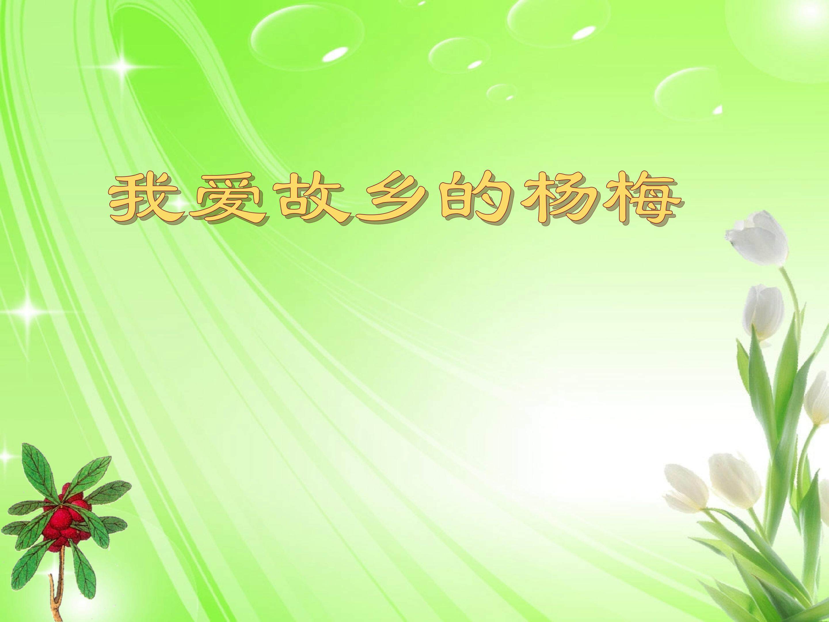 我爱故乡的杨梅