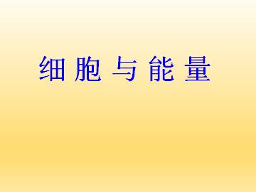 细胞与能量_课件1