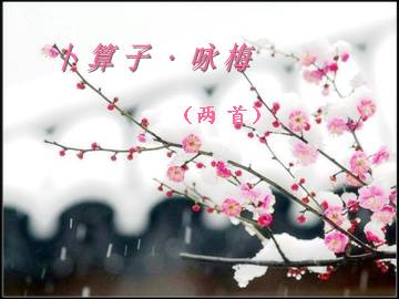 《卜算子·咏梅》(两首)
